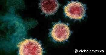 COVID outbreaks more than doubled in Ontario LTC homes since last weekly report