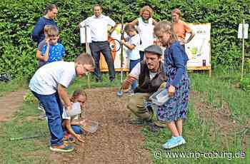 Wallenfels - Junges Gemüse macht Schule - Neue Presse Coburg