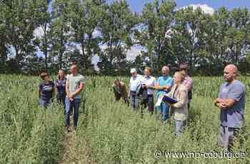 Theisenort - Ein Feld für die Forschung - Neue Presse Coburg