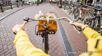 EUR/USD-Parität - Hollandrad statt E-Bike