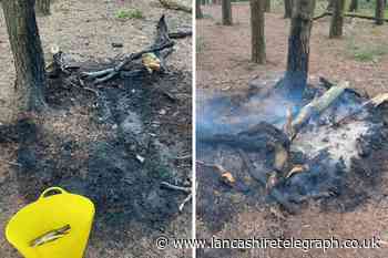 Burnley police plea to public after campfire remains found in woods