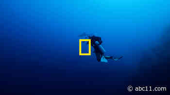 National Geographic Explorers Combat Shark Stigma on SharkFest