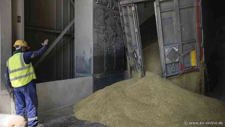 Hafenöffnung in der Ukraine? Wie die Bundesregierung und die Opposition reagieren