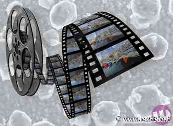 SORA - CAPITOL MOVIE - ioWebbo