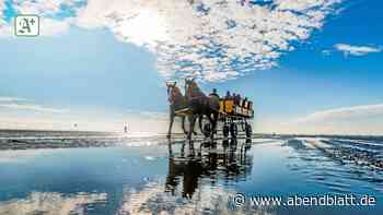Nordsee: Cuxhaven – was der Küstenort Sylt & Co. voraus hat - Hamburger Abendblatt