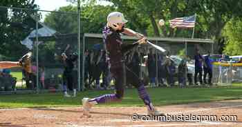 SOS, Twin River Juniors fall in Area Tournament - Columbus Telegram