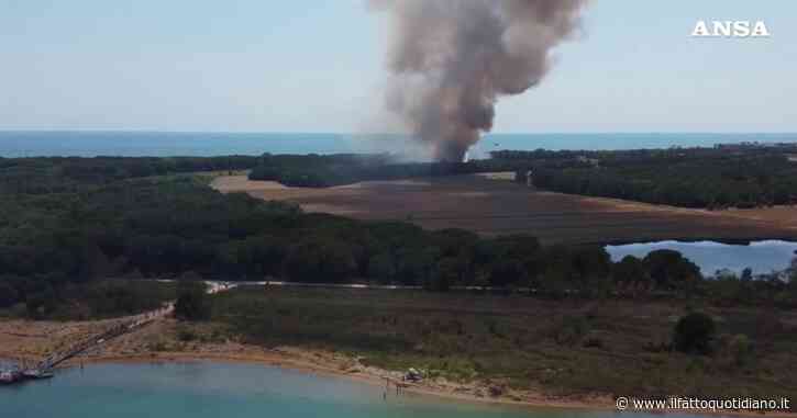 Bibione, incendio in una zona boschiva: fuoco e colonne di fumo ripresi dal drone – Video