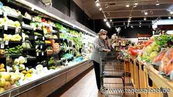 Metall plus 84 Prozent, Chemie plus 50 Prozent: Die Inflation ist gekommen, um zu bleiben - Wirtschaft - Tagesspiegel