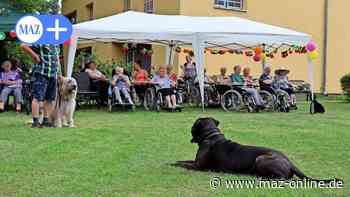 Luckenwalde: Sommerfest im Seniorenstift St. Josef - Märkische Allgemeine Zeitung