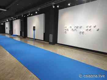 RENDE - Al Museo del Presente la mostra "Cyan Carpet" - Calabria.Live - Calabria Live