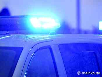 Hund von Besitzer in Stutensee gequält - Zeugen gesucht - meinKA - meinKA | Stadtportal Karlsruhe