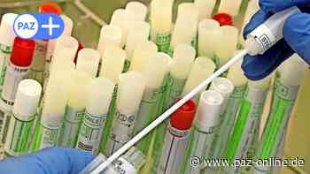 Corona-Lage: Landkreis Peine liegt im Landesvergleich an zweiter Stelle - Peiner Allgemeine Zeitung - PAZ-online.de