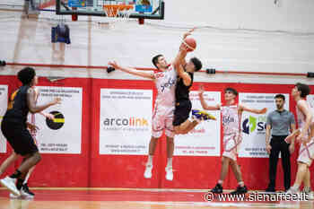 La Virtus Siena piazza il colpo: torna Guido Berardi - SienaFree.it