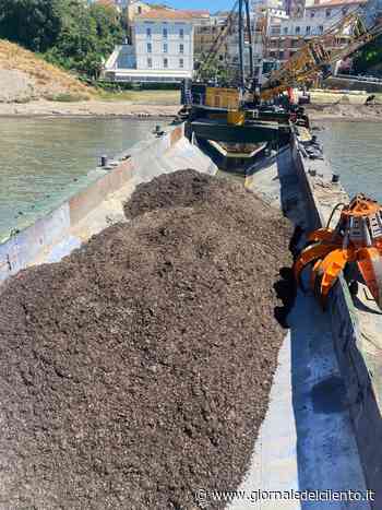 Agropoli, rimozione alghe: inizia la fase due - Giornale del Cilento