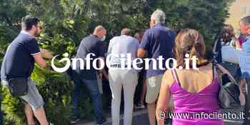 Agropoli, ferito dal crollo di un albero: ancora in ospedale un 55enne - Info Cilento