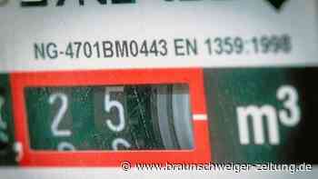 Gasnotstand: Bundesnetzagentur bisher nicht vorbereitet