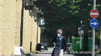 Ingrosso all’ex Dalmine La parola al Consorzio Zia - LA NAZIONE