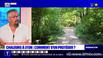 Canicule à Lyon: les parcs de la métropole souffrent aussi des fortes chaleurs - BFMTV