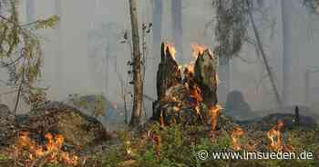 Sehr hohe Waldbrandgefahr in Memmingen - IMSÜDEN