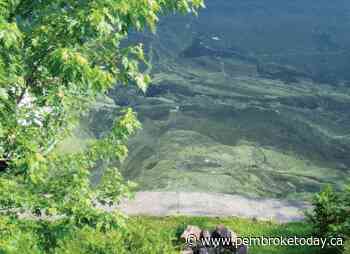 Suspected blue-green algae bloom found on Muskrat Lake in Cobden - PembrokeToday.ca