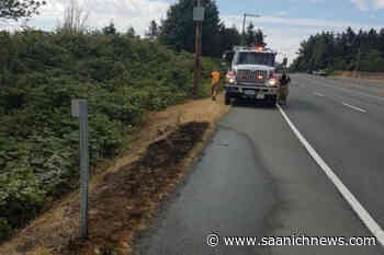 Central Saanich Fire warns motorists about carelessly butting out – Saanich News - Saanich News