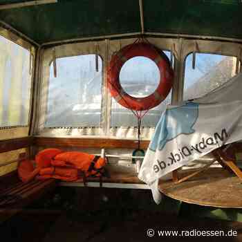 Essen: Moornixe kommt zurück - das ist geplant! - Radio Essen