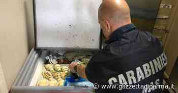Parma, in un bar-tavola calda trovati 108 kg di cibi scaduti o non tracciabili. Maxi-multa e diffida per la muffa sulle pareti - Gazzetta di Parma