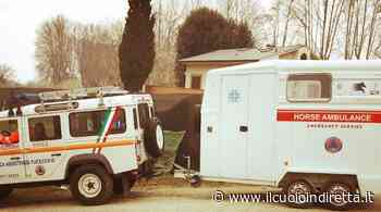 L'ambulanza equina del Palio di Fucecchio in servizio a Bientina e alla Giostra dell'Orso di Pistoia - IlCuoioInDiretta - IlCuoioInDiretta