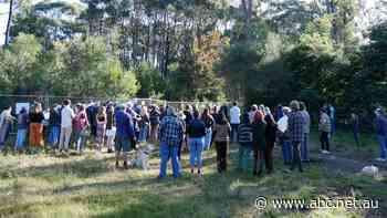 Bushland developers say they're open to a land swap over biodiversity fears