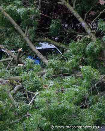 Horwich: Tree comes crashing down taking out van and streetlight - The Bolton News