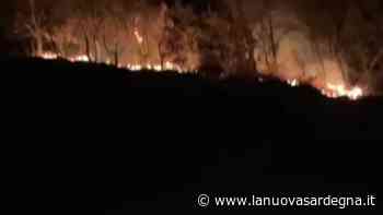 Castelnovo Monti, a fuoco il bosco sotto la Pietra di Bismantova - La Nuova Sardegna