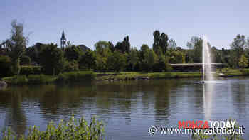 Come cambia il Laghetto di Giussano: al via i lavori di riqualificazione - MonzaToday