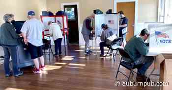 Cayuga County aims to have ballot-on-demand printers at all voting sites - The Citizen