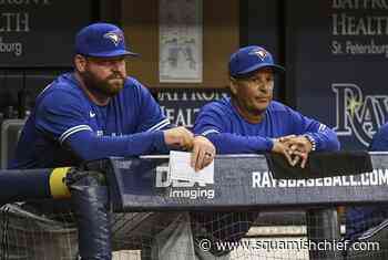 Blue Jays interim skipper Schneider getting settled in to new role - Squamish Chief