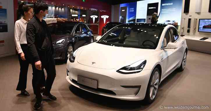 Tesla Owners Share Alarming Message Received on Screen Amid Heat Wave
