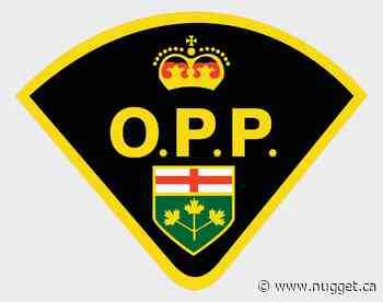 Woman charged in West Nipissing neighbour dispute - North Bay Nugget