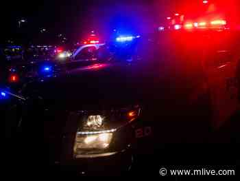 Michigan police debunk viral post alleging human trafficking attempt near airport - MLive.com