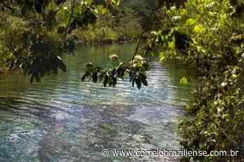 Loteamento clandestino em Cotia é alvo de operação do Gaeco - Correio Braziliense