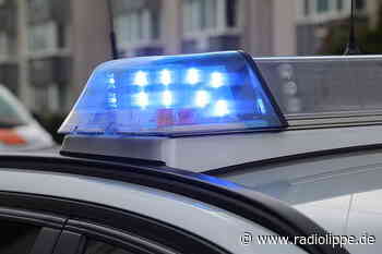 Schlangen: Unfall-Auto hinter Mülltonnen versteckt - Polizei folgt Ölspur - Radio Lippe