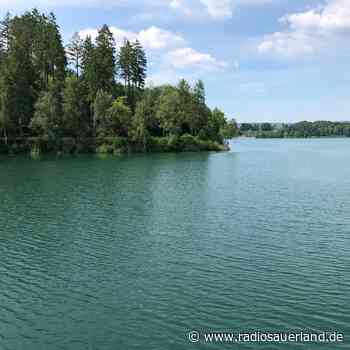 Blaualgen im Hennesee in Meschede: Zwei Hunde sterben - Radio Sauerland