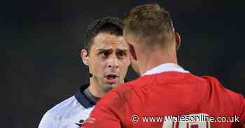 Biggar denies any wrongdoing in moment that lost the game and Francis ruled out - Wales Online