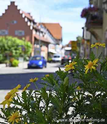 Bittere Pillen im Sanierungsgebiet - Bad Krozingen - Badische Zeitung