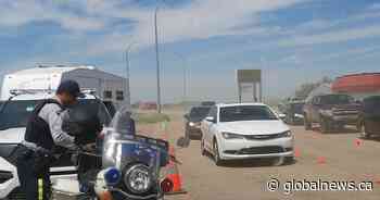 17 suspensions for cannabis use, 1 for cocaine, 4 for alcohol during Chamberlain traffic check