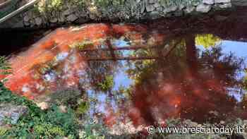 Un fiume di sangue: il torrente si colora di rosso, arriva la Polizia - BresciaToday