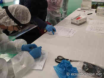 Covid, infetto il 10 per cento del personale sanitario: Asl ricorre a prestazioni aggiuntive con un bando - L'Eco dell'Alto Molise e Alto Vastese