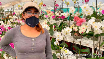 Orquídeas europeas en Cuernavaca: Encuéntralas aquí - 24 Morelos
