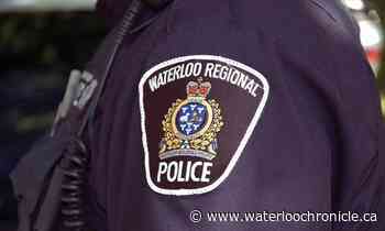 Group of youths seen fighting with weapons behind Kitchener business - Waterloo Chronicle