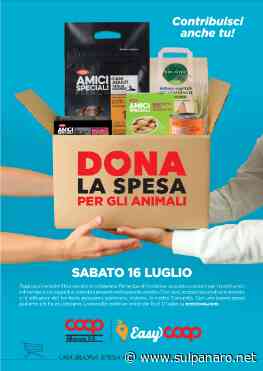 A Carpi, Finale Emilia, Nonantola e Soliera "Dona la spesa per gli animali" - SulPanaro