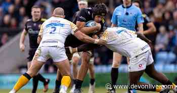 Exeter Chiefs recruitment plans latest after four locks depart - Devon Live