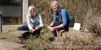 Naturschule Lohmar erhält in Saatbibliothek alte Pflanzensorten - Kölnische Rundschau